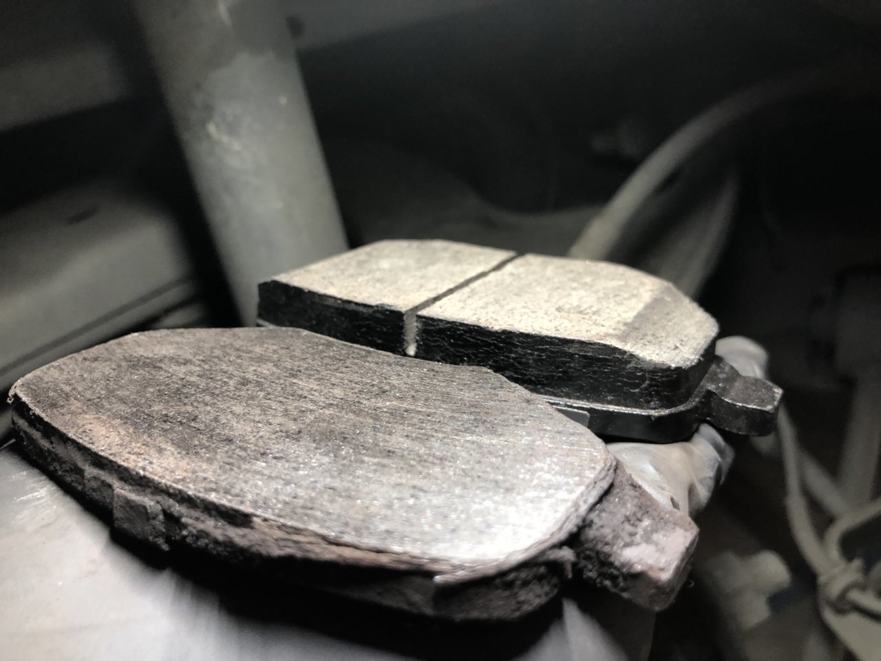 5342F0F7-D127-4CCF-9CF2-AA65AC7D9AB1.jpg