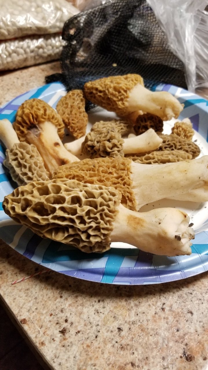 535640BF-EE86-4350-B0D0-41189D09F598.jpg
