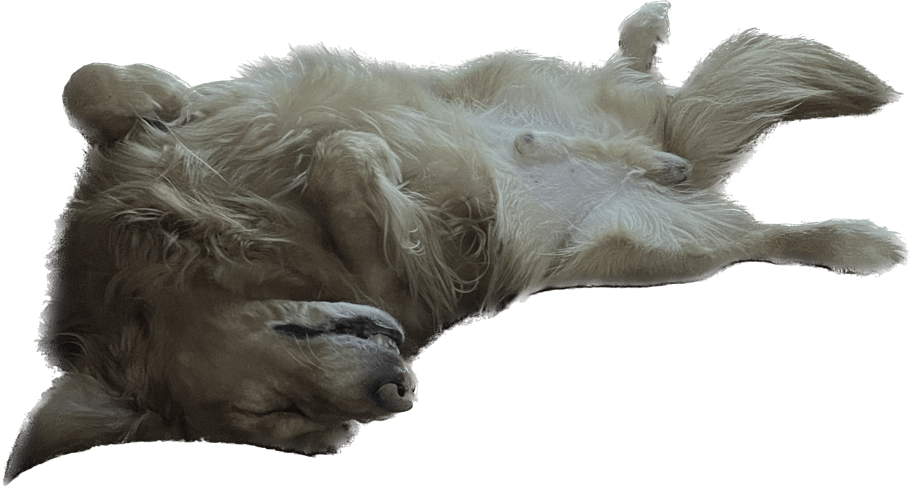 53780336-6D2E-444D-90FA-03CCC6DD9BA9.png