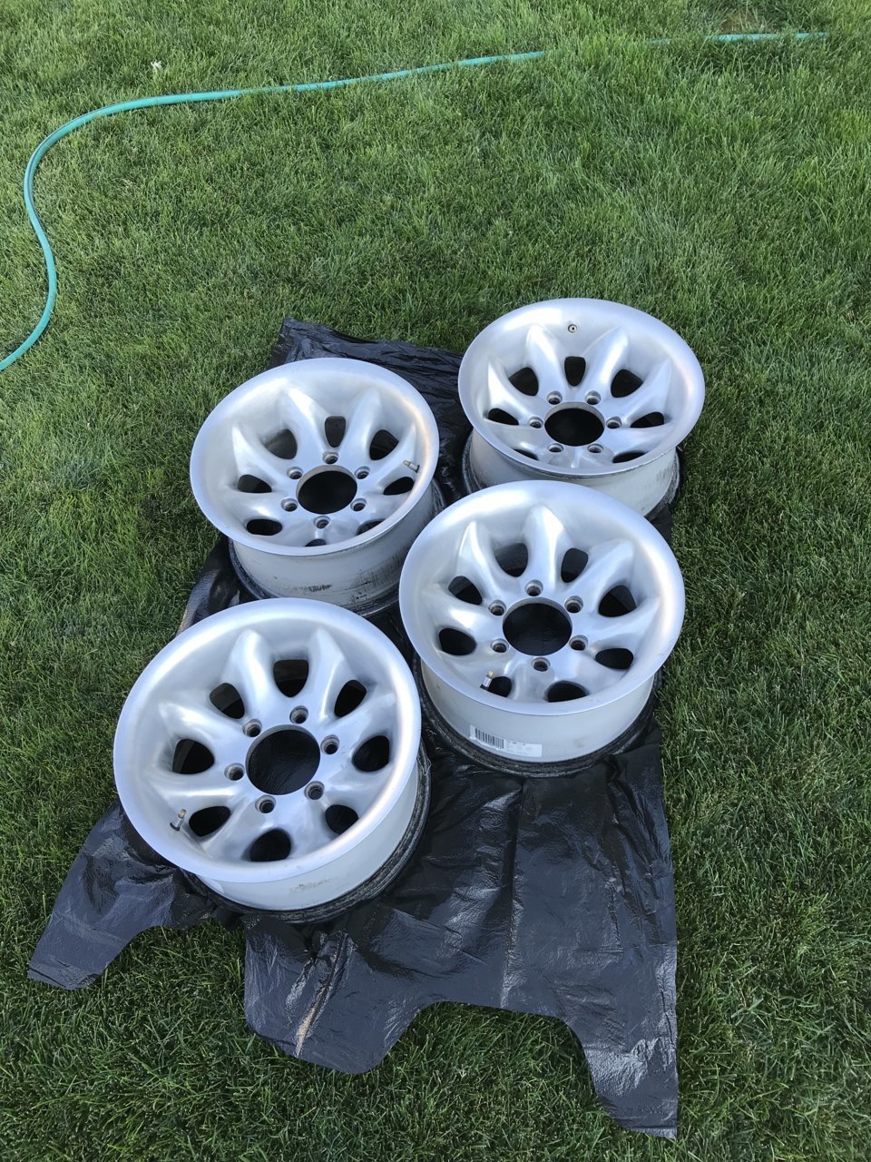 53DAF452-0ED1-443E-A55B-4B12086C1466.jpg