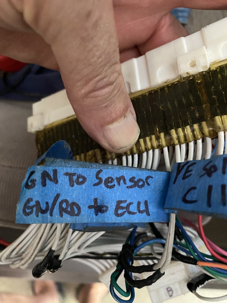 53EA6800-D746-4047-BF58-E95B2659EF41.jpg