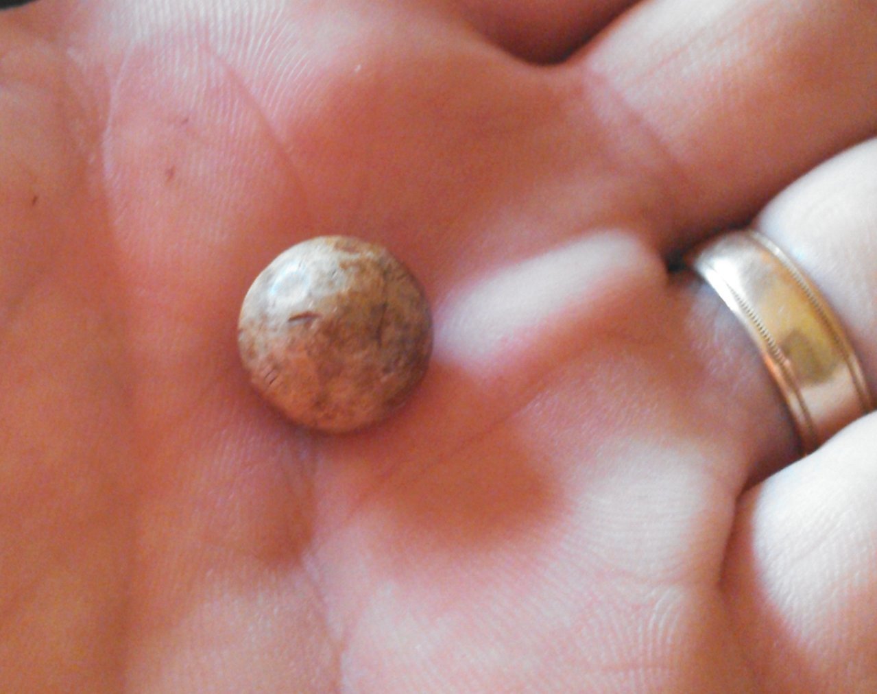54 cal round ball1s.jpg
