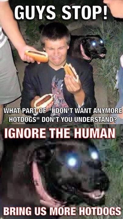 540b39c34af15a5061cc197da1ee9a6d.jpg