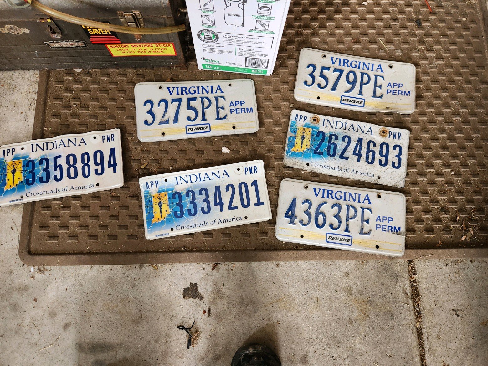 54655.jpg