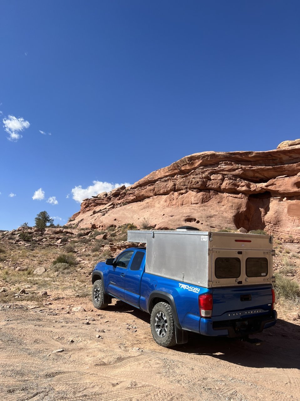 548B4FEF-12F1-4BC5-9D97-827D6E22AFA5.jpg