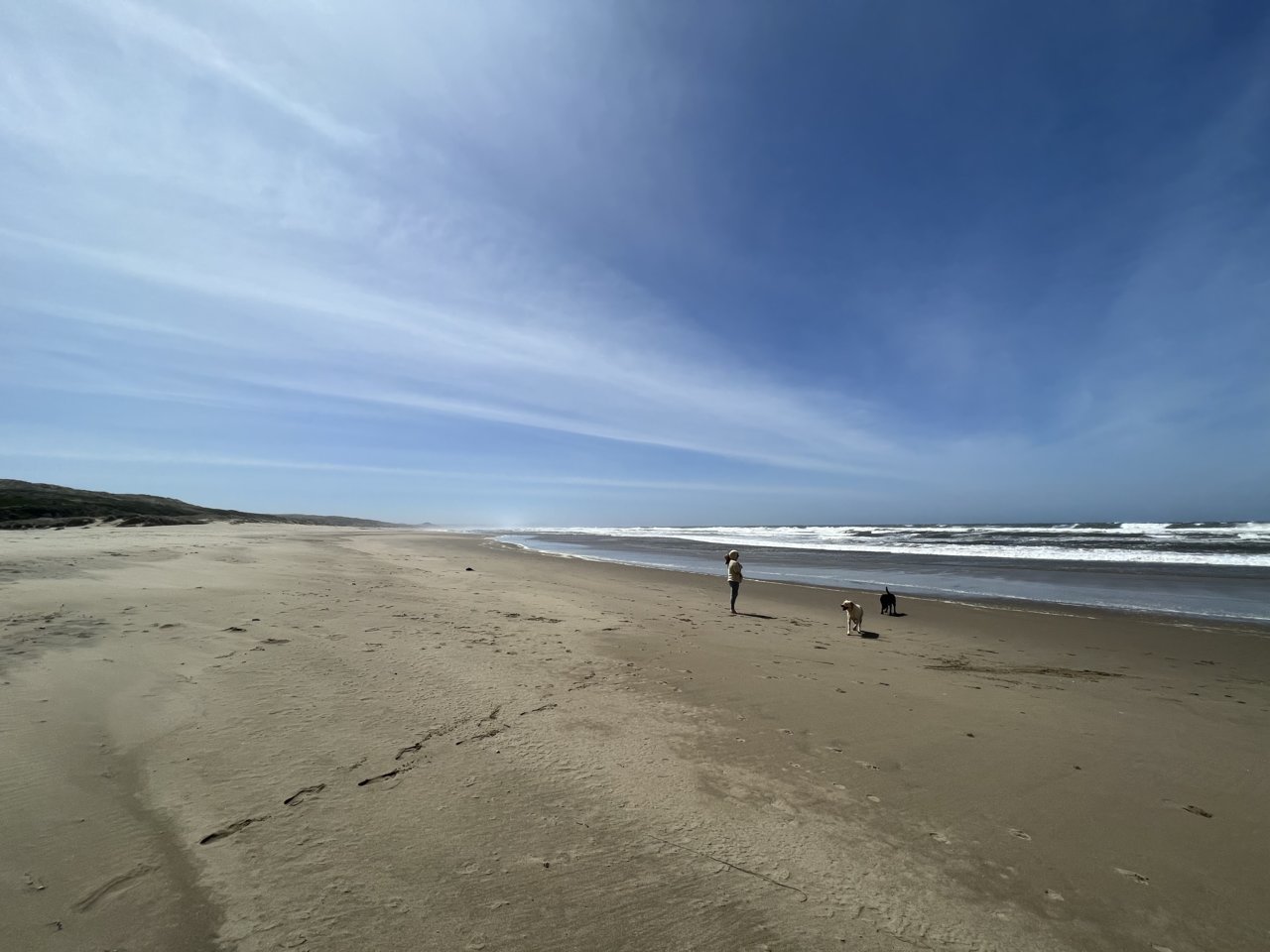 54C08F4C-B8A5-4A7A-B539-84F23C5FCDD7.jpg