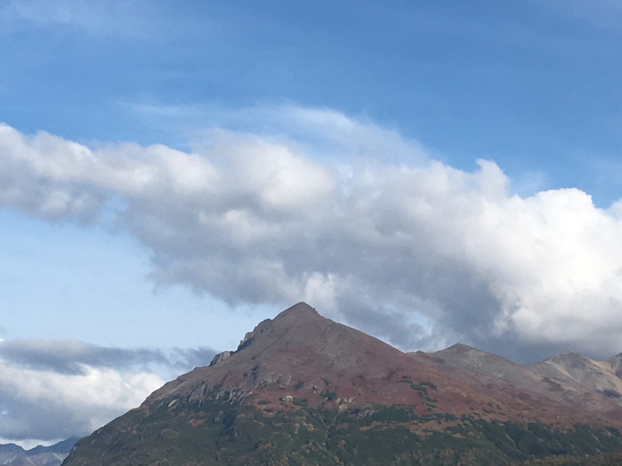552FF5C5-EEBC-4C31-8CF8-D474839EF621.jpg
