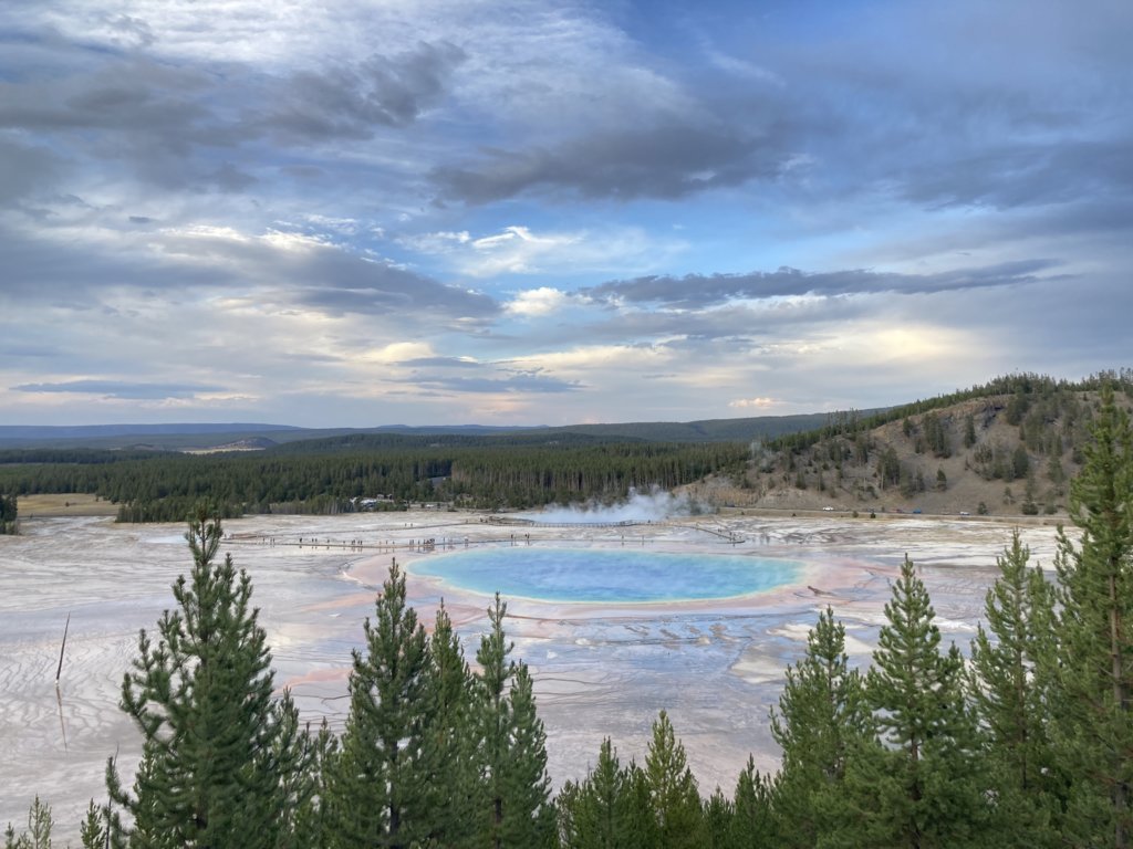 55CA370F-F658-451D-BCF6-B9C99E58D4D7.jpg