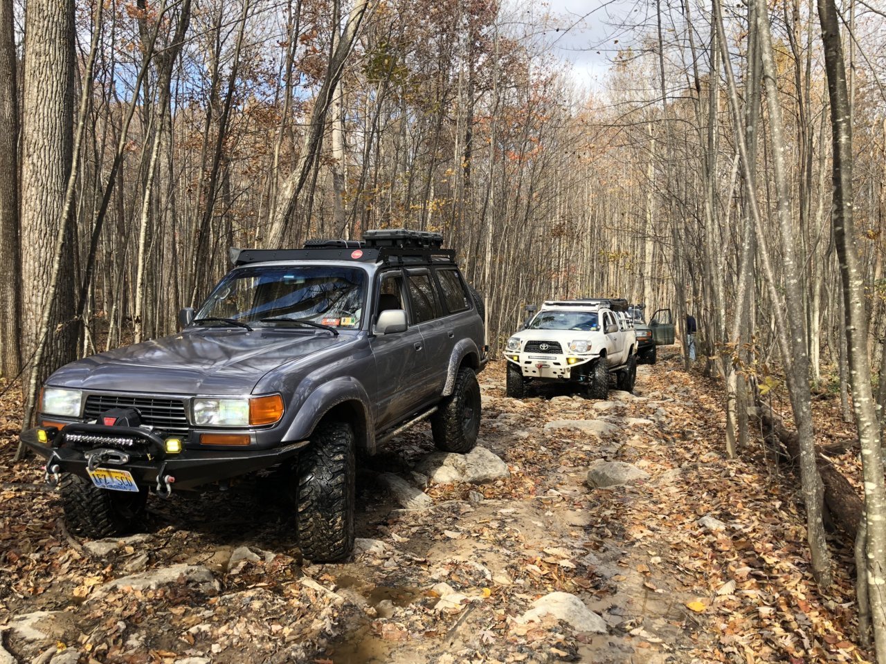 55EBC6A6-0239-4262-8EC7-2328C004B0FA.jpg