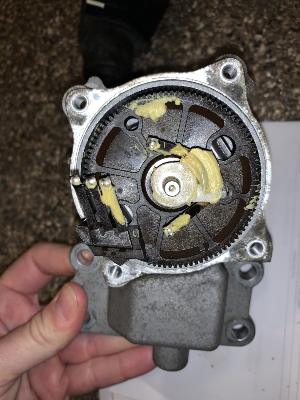 56953AEC-0137-4BD0-AEC3-51D8C45AB9D2.jpg