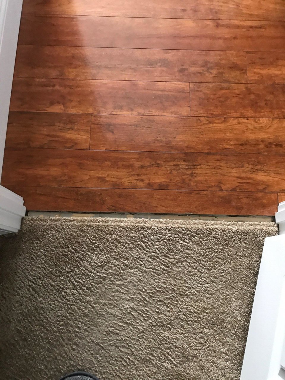 569778298.jpg