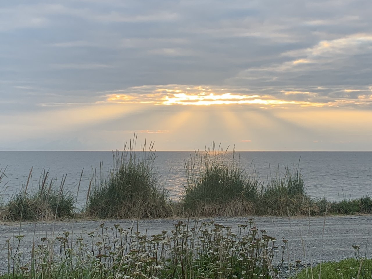56F433B7-4F85-4A5C-BD73-79314D619DF5.jpg