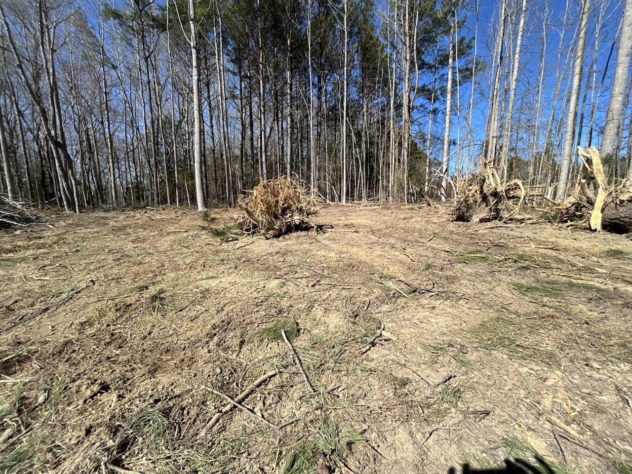 57668612-826B-4F34-920D-CFEB4439DC0E.jpg