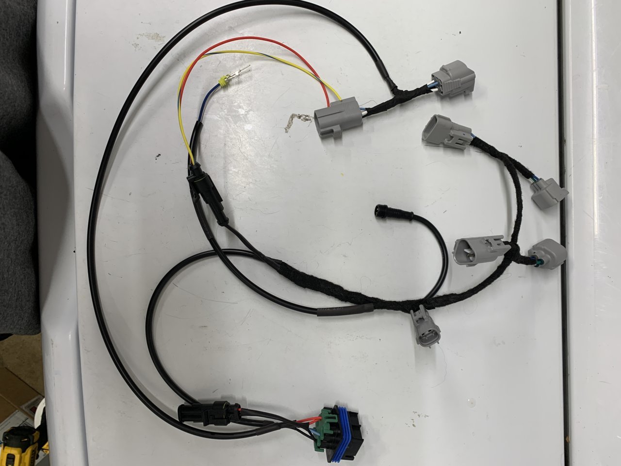 576E46B9-ABD2-4E3C-AB98-FCF69AA61CE9.jpg