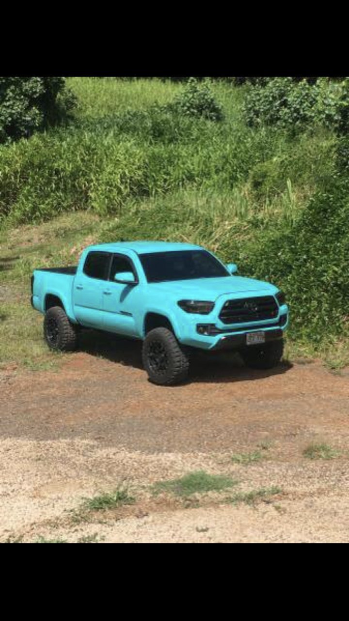 Color Chart 2021 Toyota Tacoma Colors