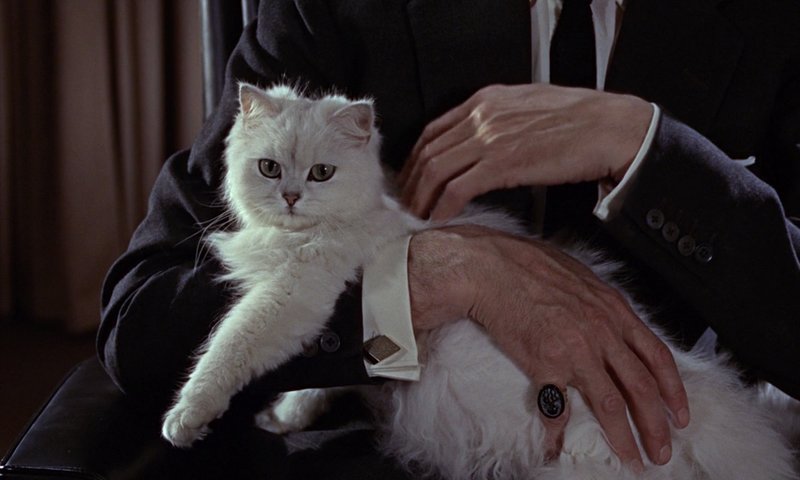 596148-frwl_villaincat.jpg