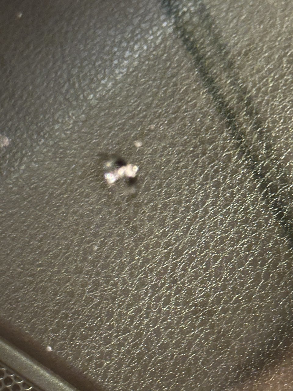 59993363-553E-411C-A223-F3DAFDD647D4.jpg