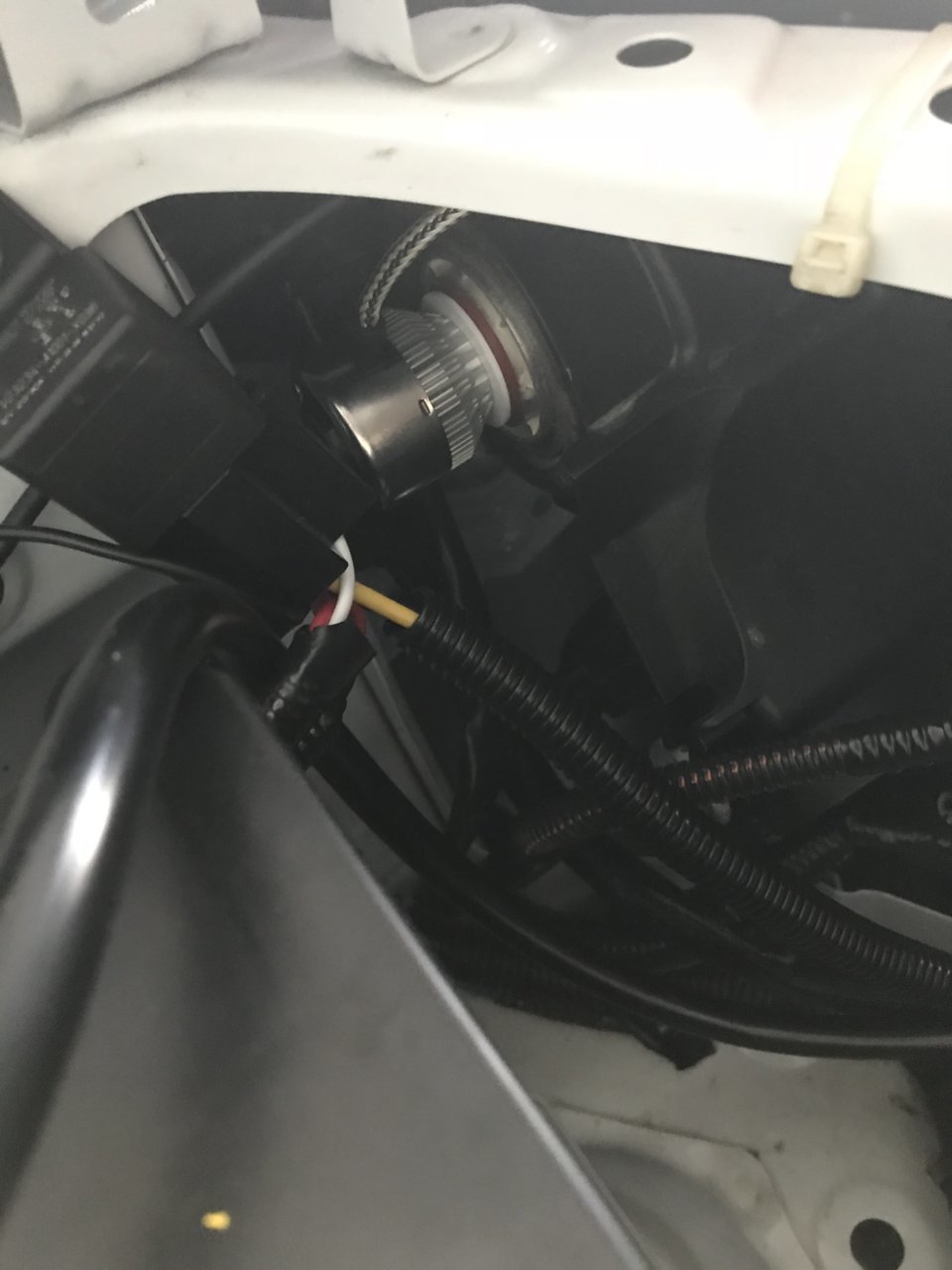 59FD9E38-F51A-47FB-87E8-3BA8ED65EF93.jpg