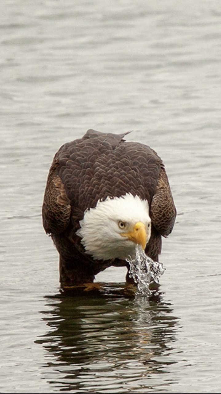 5A356B47-0998-4C0F-962C-AA5DDF41CBC4.jpg