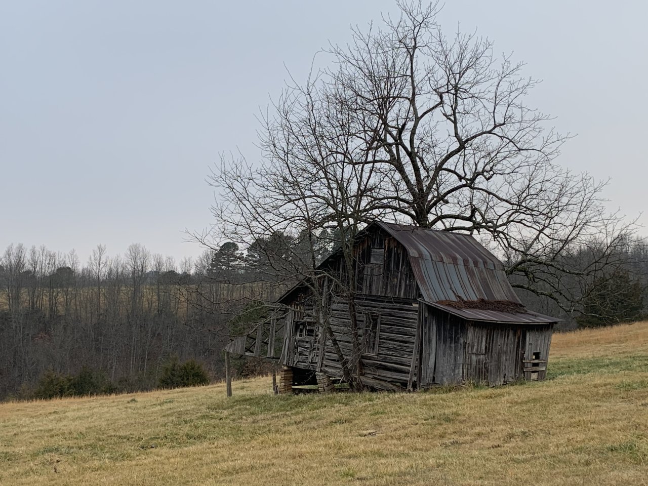 5AC539FC-6213-4688-A513-34400FE4A8B1.jpg