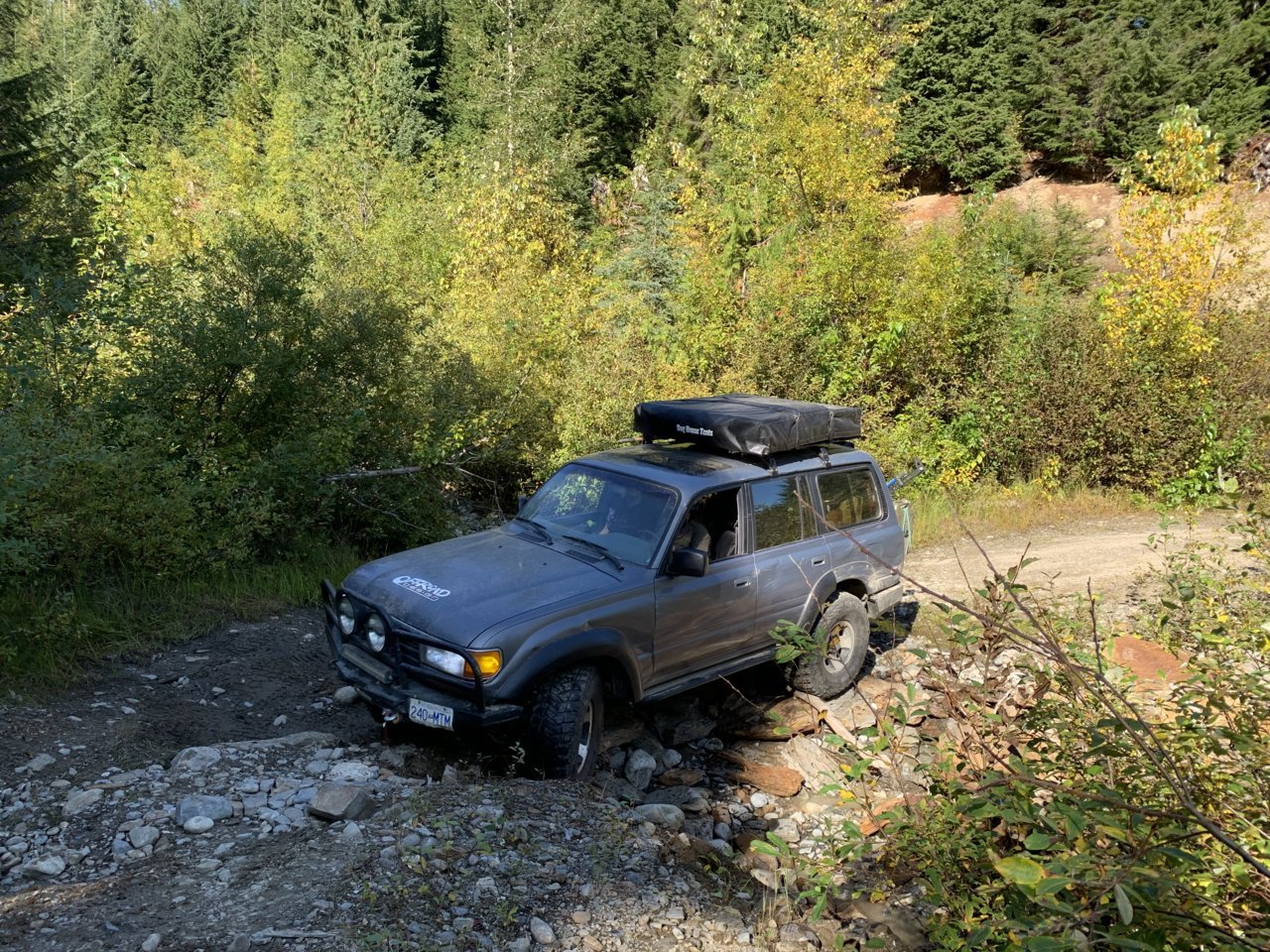 5AE2BF49-8936-4802-9DF7-77AB8DBDE081.jpg