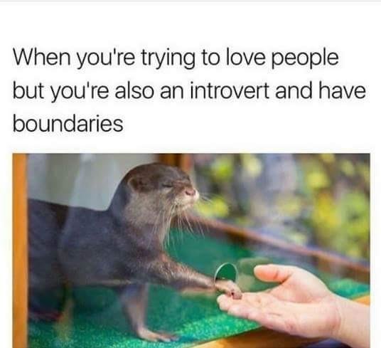 5b474c5b3fc0e.jpg
