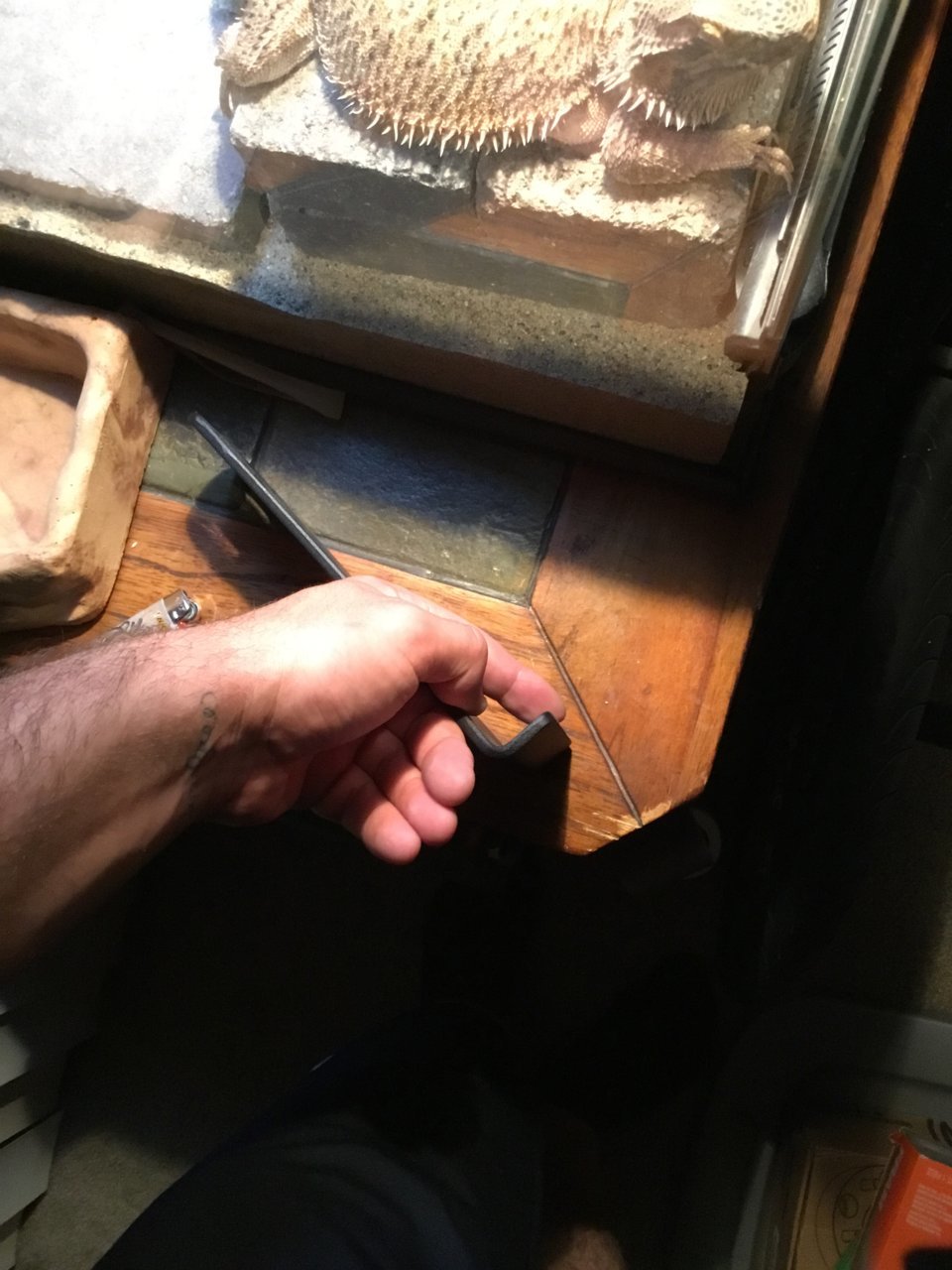 5B4EEA7A-169E-4607-AEF6-0F752B077EBA.jpg