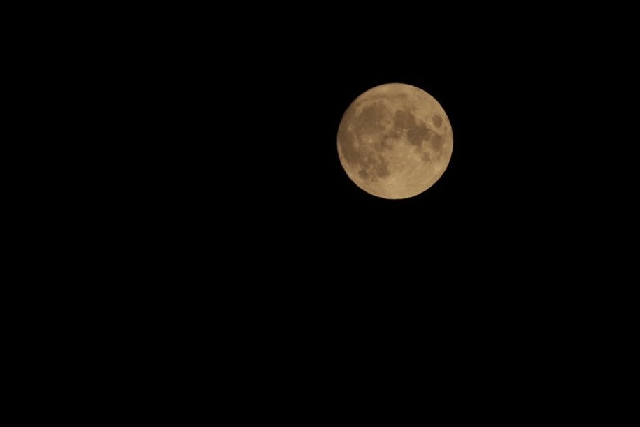 5B856447-2196-4A93-A70A-12EE610C9E31.jpg