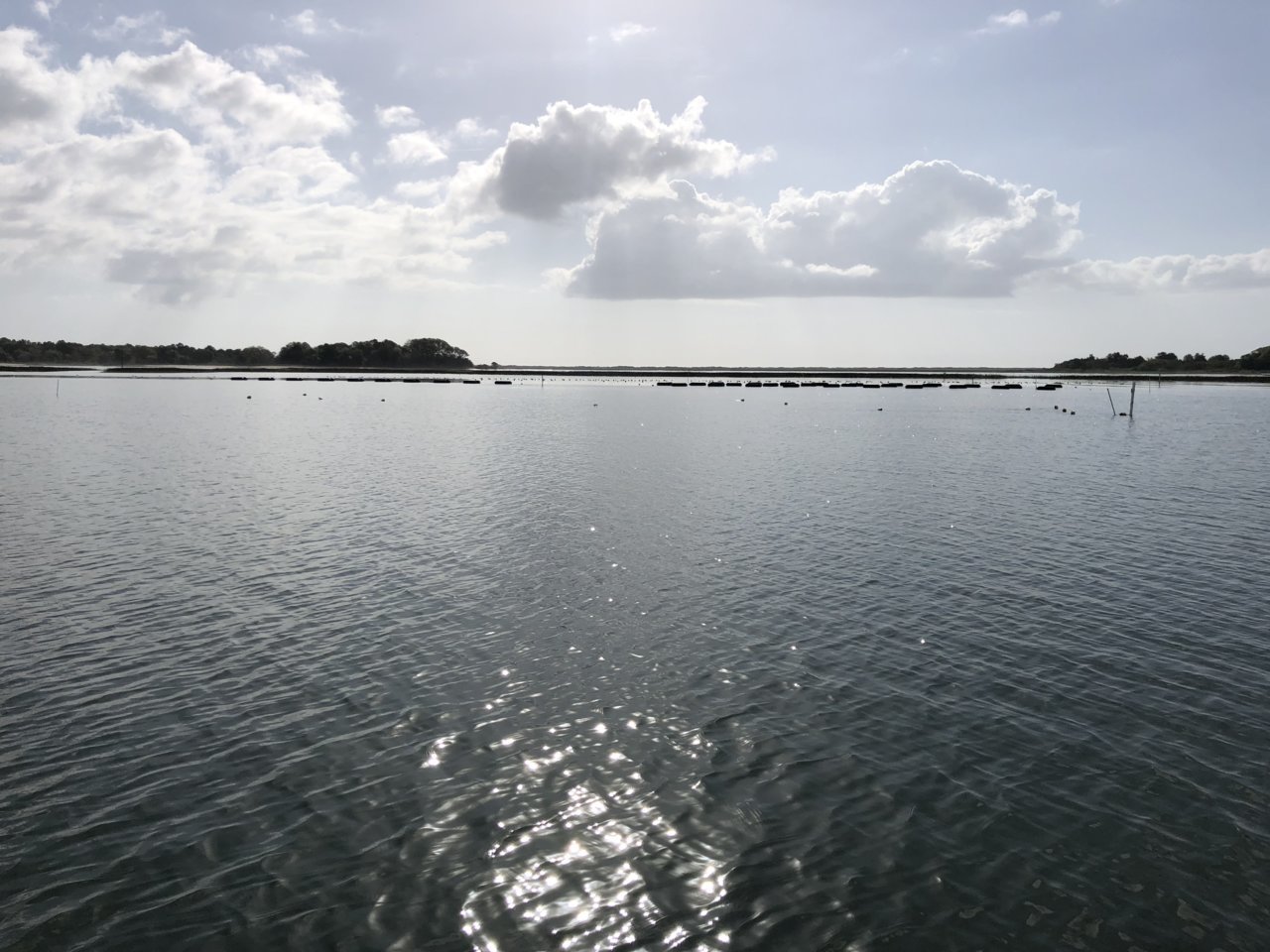 5B92B6E3-FA90-4B53-A66E-6665A907D229.jpg