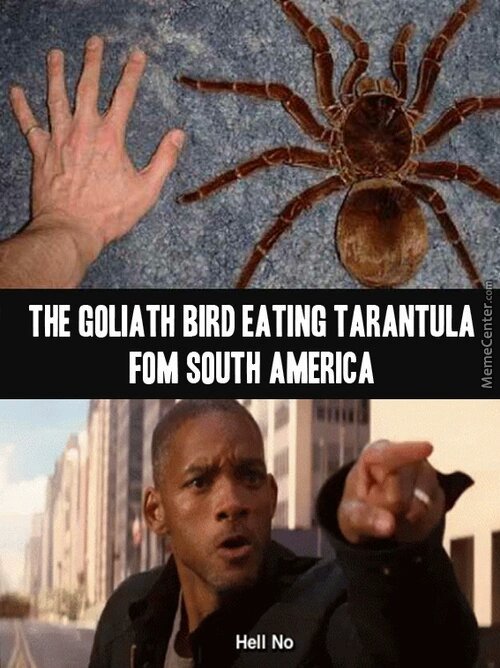 5bb4fb7a27bd1.jpg