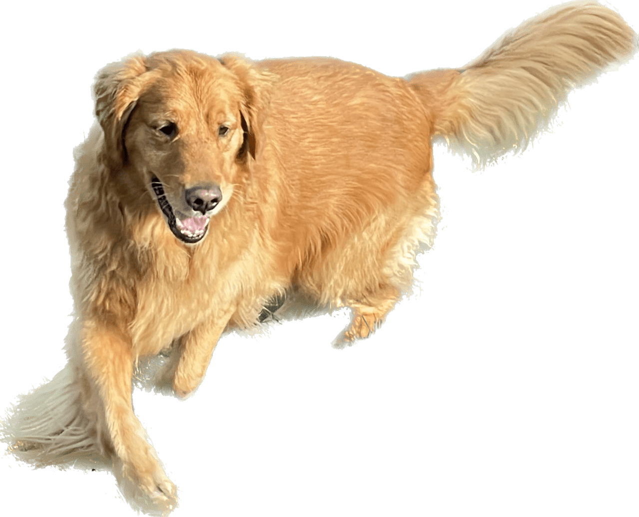 5BB55882-4A72-4FC7-AFFF-720C6229FACD.png