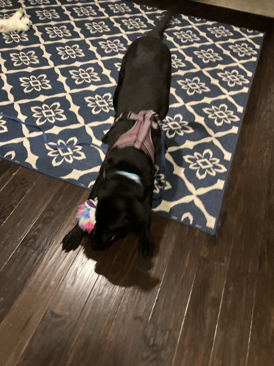 5BD519B2-7094-493C-AB67-AA250398FC4A.jpg