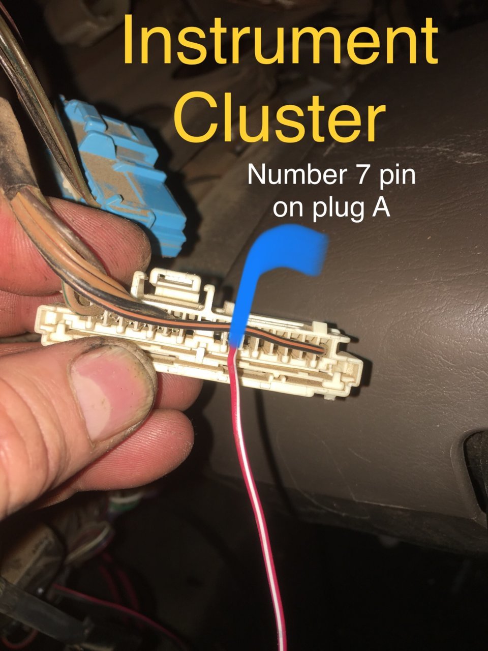 5BFB703D-8D2F-4318-B7D5-301EF7696327.jpg