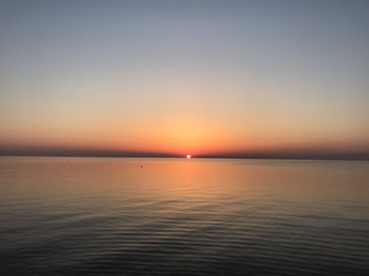 5C8C04E3-91A1-4959-A878-FD7E7B579586.jpg