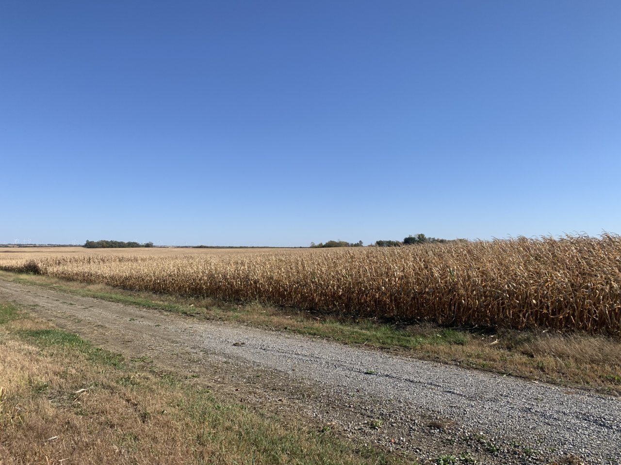 5D675D98-8965-4C8F-910A-072E6DCFC88A.jpg