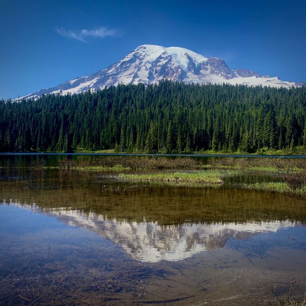 5D903A78-6219-4A71-AAD0-EEF4D8F7CF91.jpg