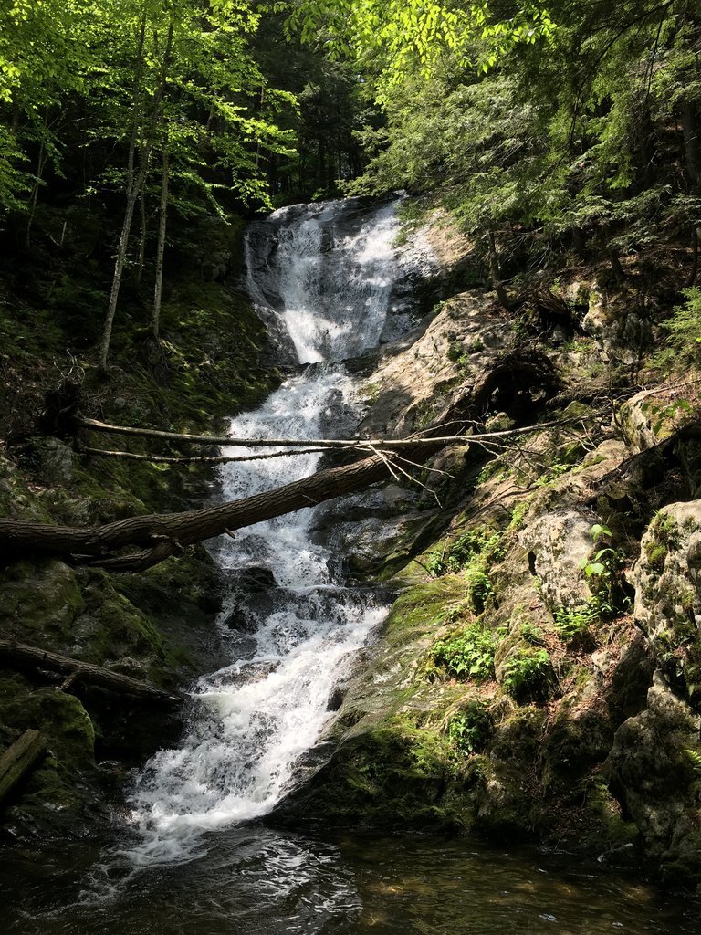 5DABEF7E-39E4-432C-9538-CE704841FAE0.jpg
