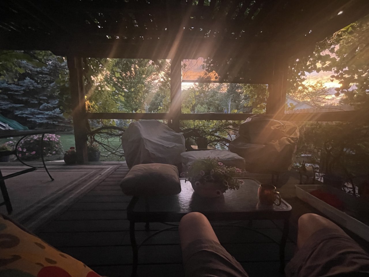 5DCBE728-B1E0-46A0-B426-4CA22468D6E6.jpg