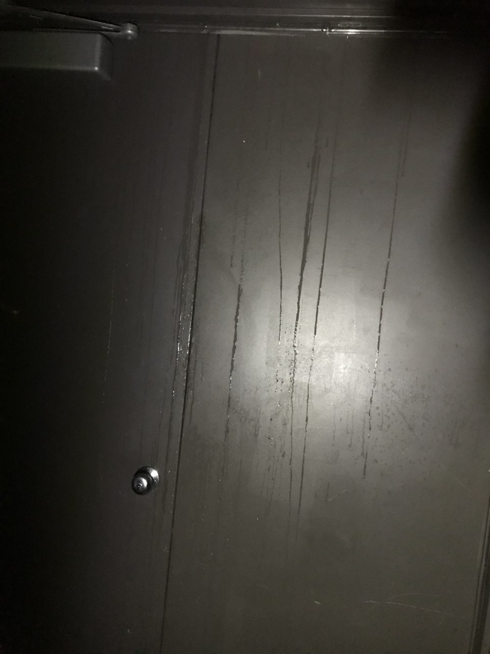 5DF8C03C-6A3C-47D9-831E-E70B3ED1BD82.jpg