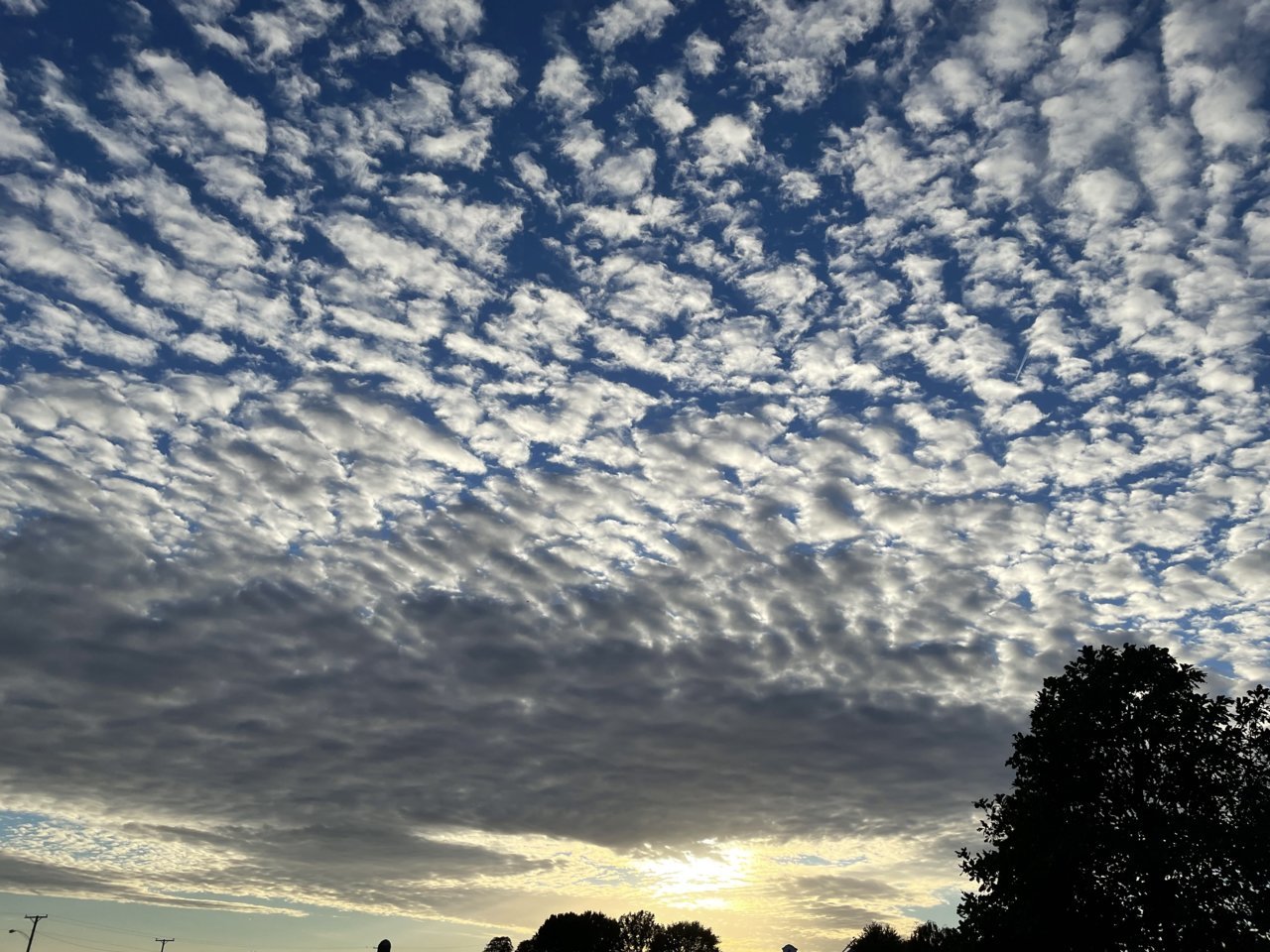 5E5DA02D-182B-4617-BA21-2CCA5662339D.jpg