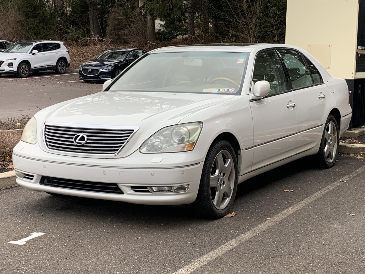 5EC238F4-52CC-4992-B238-D442A8B4C5FA.jpg