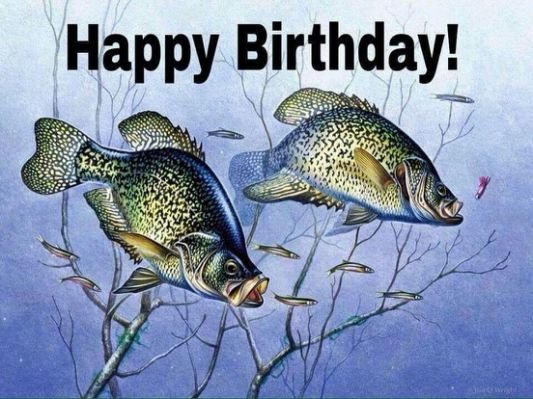 5ef5687c6125ff36d337806e0e73f3ca--birthday-greetings-birthday-wishes.jpg.cf.jpg