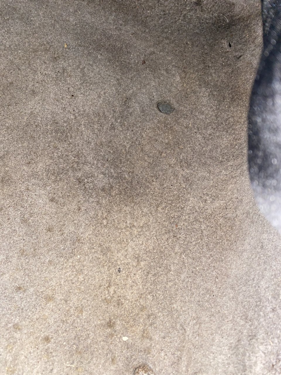 5F9971BC-0B04-4741-90E0-6E86290E49D0.jpg