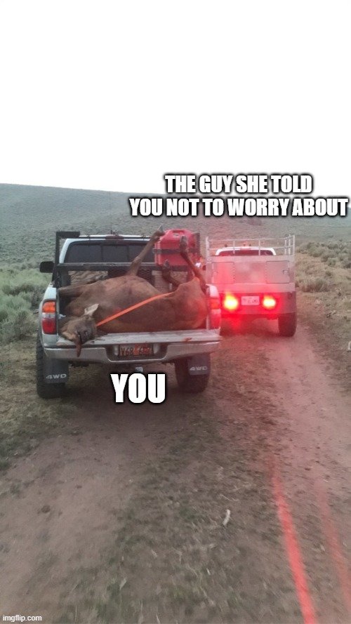 5j41z5.jpg
