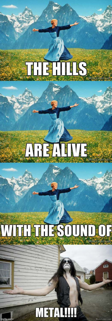 5m5hl8.jpg