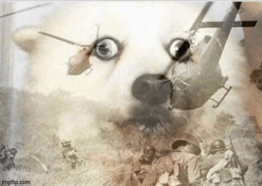 5qxxmr~2.jpg