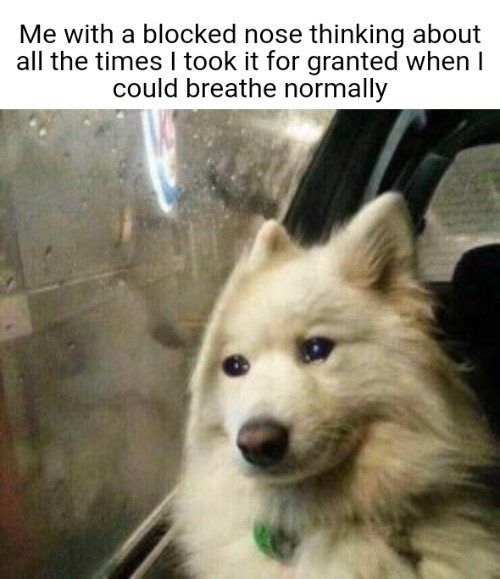 5whijg.jpg