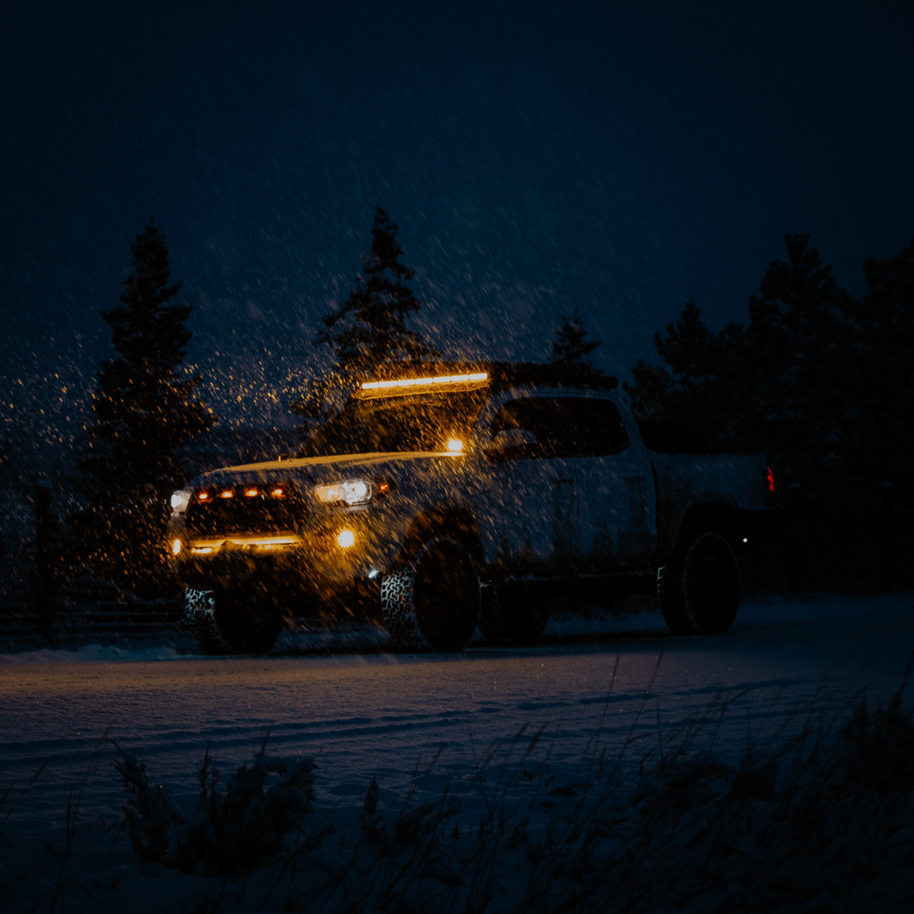 5X8A3789.jpg
