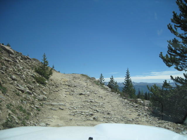 6-22-10  Hagerman Pass 006X.jpg