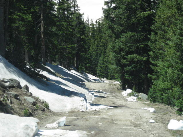 6-22-10  Hagerman Pass 014.jpg